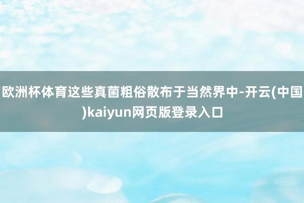 欧洲杯体育这些真菌粗俗散布于当然界中-开云(中国)kaiyun网页版登录入口