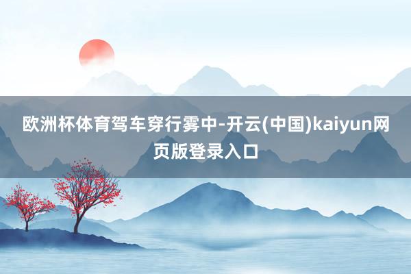 欧洲杯体育驾车穿行雾中-开云(中国)kaiyun网页版登录入口