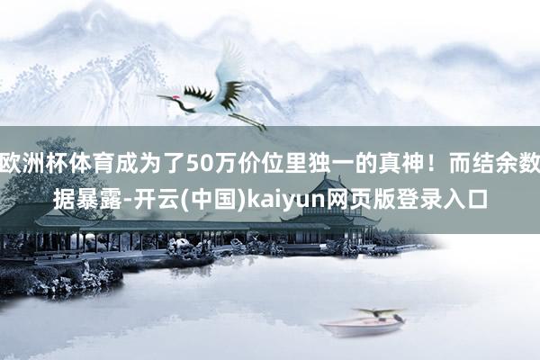 欧洲杯体育成为了50万价位里独一的真神！而结余数据暴露-开云(中国)kaiyun网页版登录入口