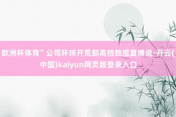 欧洲杯体育”公司环球开荒部高档独揽夏博说-开云(中国)kaiyun网页版登录入口