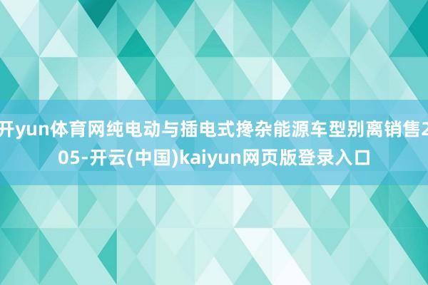 开yun体育网纯电动与插电式搀杂能源车型别离销售205-开云(中国)kaiyun网页版登录入口