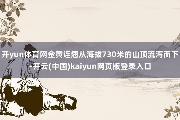 开yun体育网金黄连翘从海拔730米的山顶流泻而下-开云(中国)kaiyun网页版登录入口