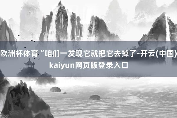 欧洲杯体育“咱们一发现它就把它去掉了-开云(中国)kaiyun网页版登录入口